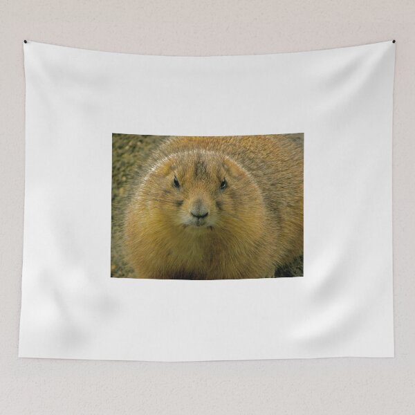 Item preview, fluffed up prairie dog designed and sold by mamba.