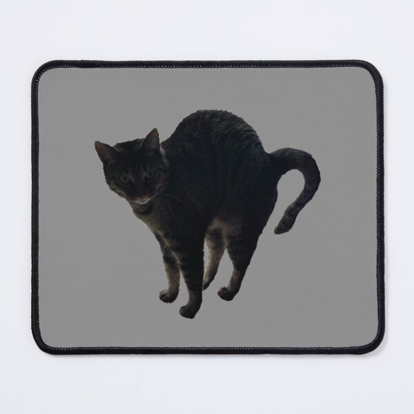 Item preview, Scaredy Cat designed and sold by Amanda1775.