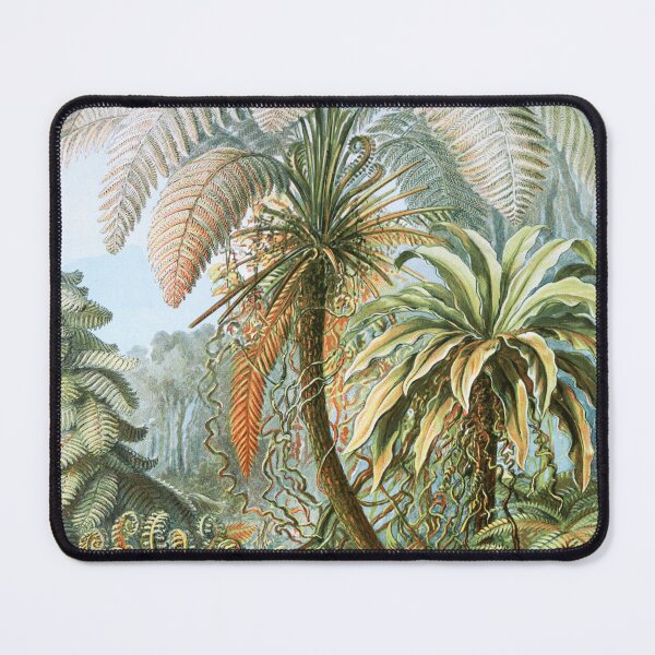 Item preview, Vintage Fern and Palm Tree Art designed and sold by Vintage Wall Art.