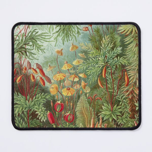 Item preview, Scientific Illustration of Moss in the Forest  designed and sold by Vintage Wall Art.