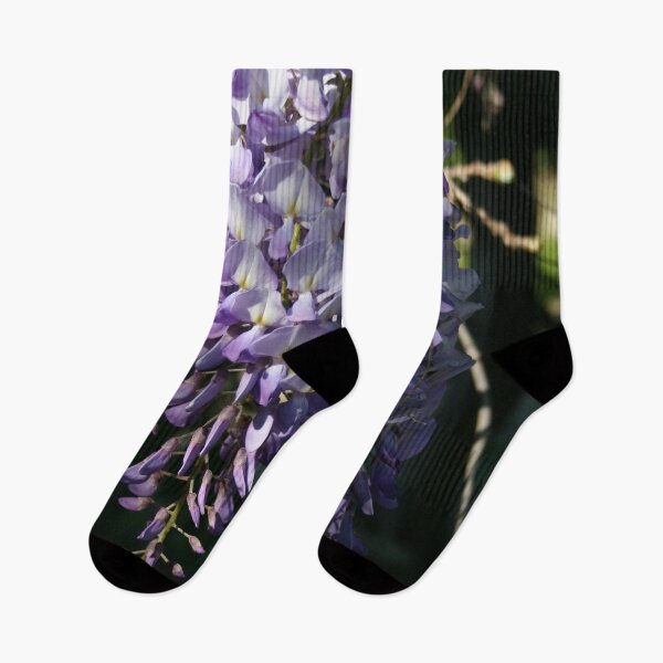 Item preview, Wisteria Clusters With Shaded Background Photography designed and sold by taiche.