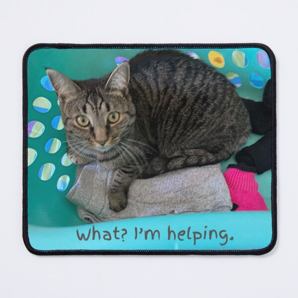 Item preview, Laundry Cat designed and sold by Amanda1775.