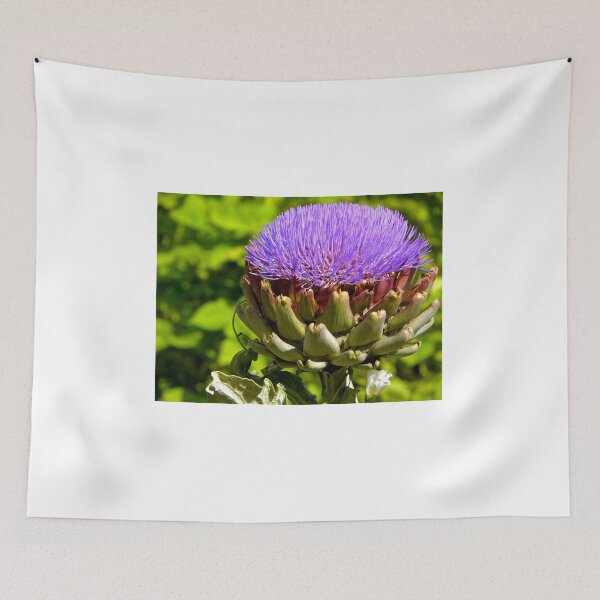 Item preview, artichoke how we rarely see it designed and sold by mamba.