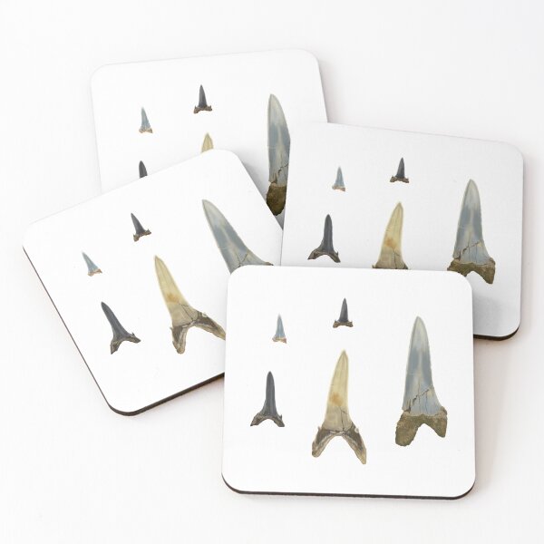 Item preview, Extinct Sand Tiger Shark tooth fossils designed and sold by ChristinaSeas.