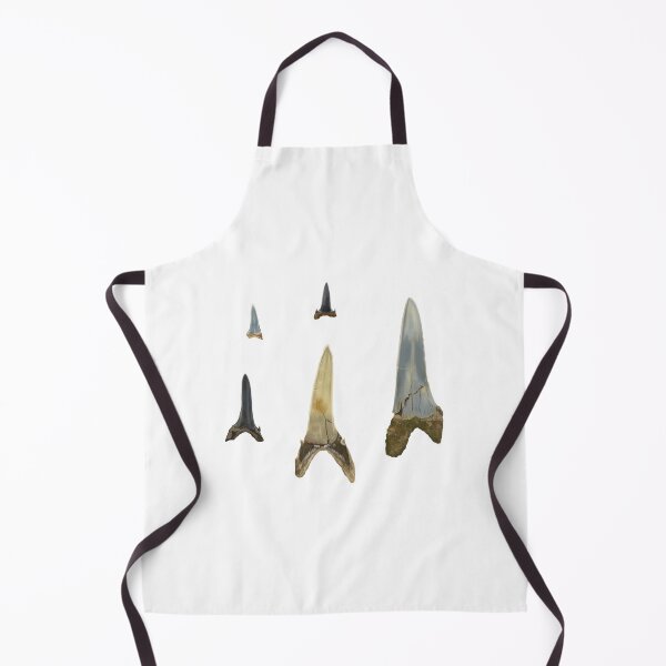 Item preview, Extinct Sand Tiger Shark tooth fossils designed and sold by ChristinaSeas.