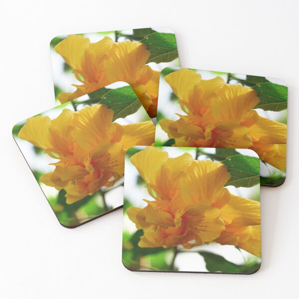 Item preview, Deep yellow. Chinese hibiscus designed and sold by Jouko Lehto Photography.