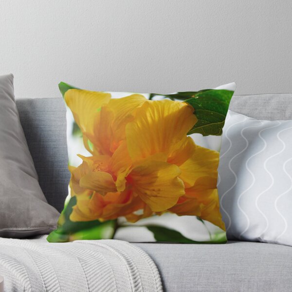 Item preview, Deep yellow. Chinese hibiscus designed and sold by Jouko Lehto Photography.