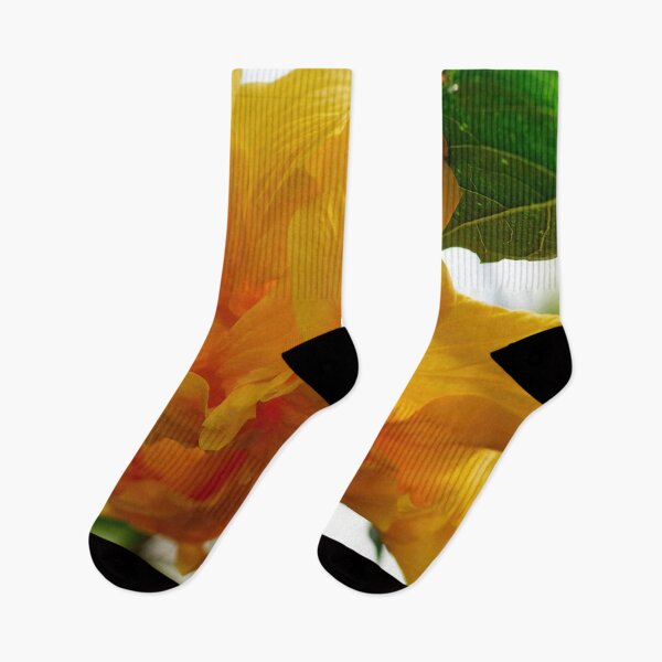 Item preview, Deep yellow. Chinese hibiscus designed and sold by Jouko Lehto Photography.