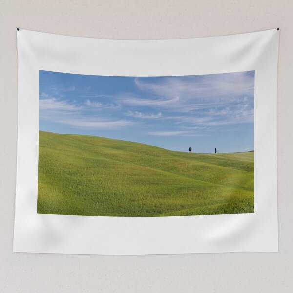 Item preview, Cypress trees in Val D Orcia Tuscany designed and sold by pietrofoto.