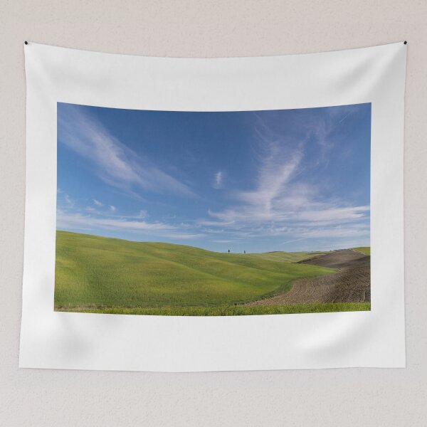 Item preview, Trees and green fields in Val D Orcia designed and sold by pietrofoto.