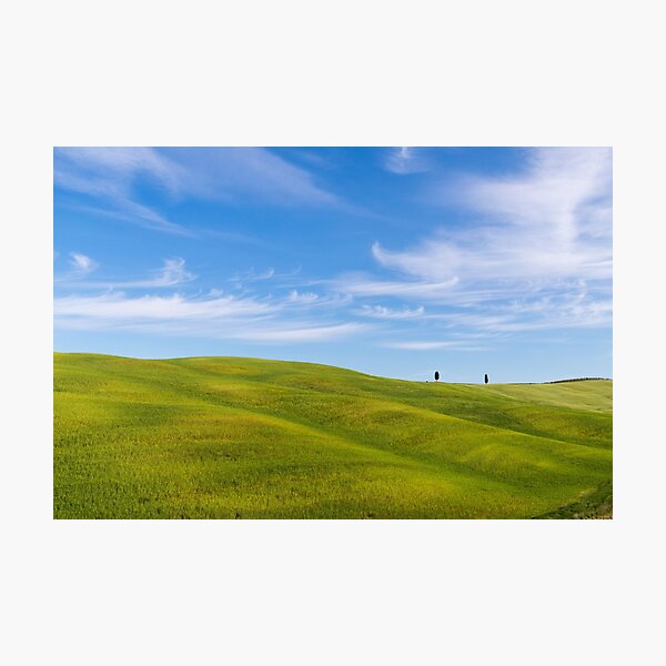 Green fields and trees in Val D Orcia Photographic Print