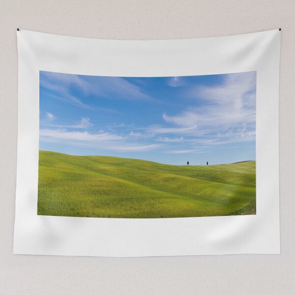 Item preview, Green fields and trees in Val D Orcia designed and sold by pietrofoto.