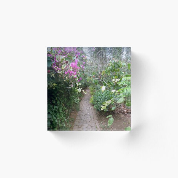 Item preview, Jardín de Bali designed and sold by John Golden.