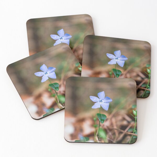 Item preview, Spring has Sprung designed and sold by Mooretography.