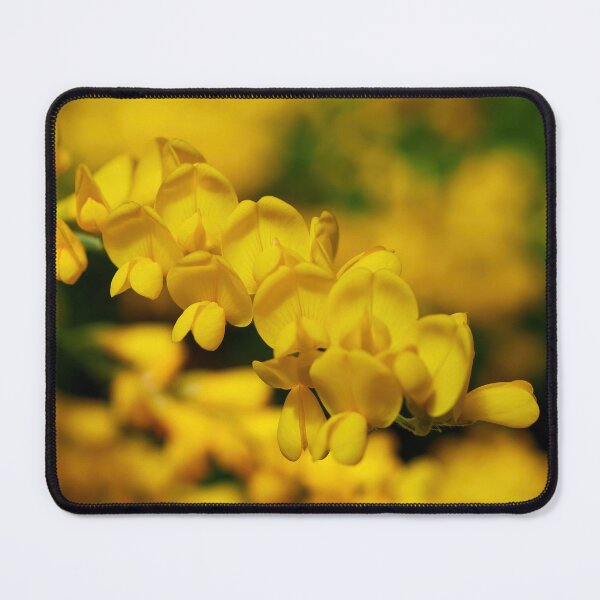 Item preview, Easter broom designed and sold by Jouko Lehto Photography.