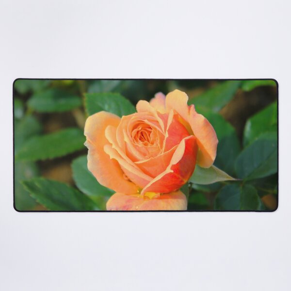 Item preview, Rose the designed and sold by AHELENE.
