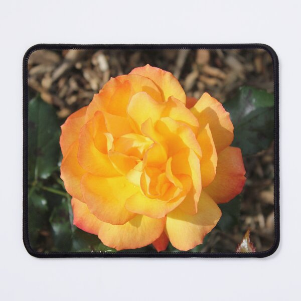 Item preview, Rose d or designed and sold by AHELENE.