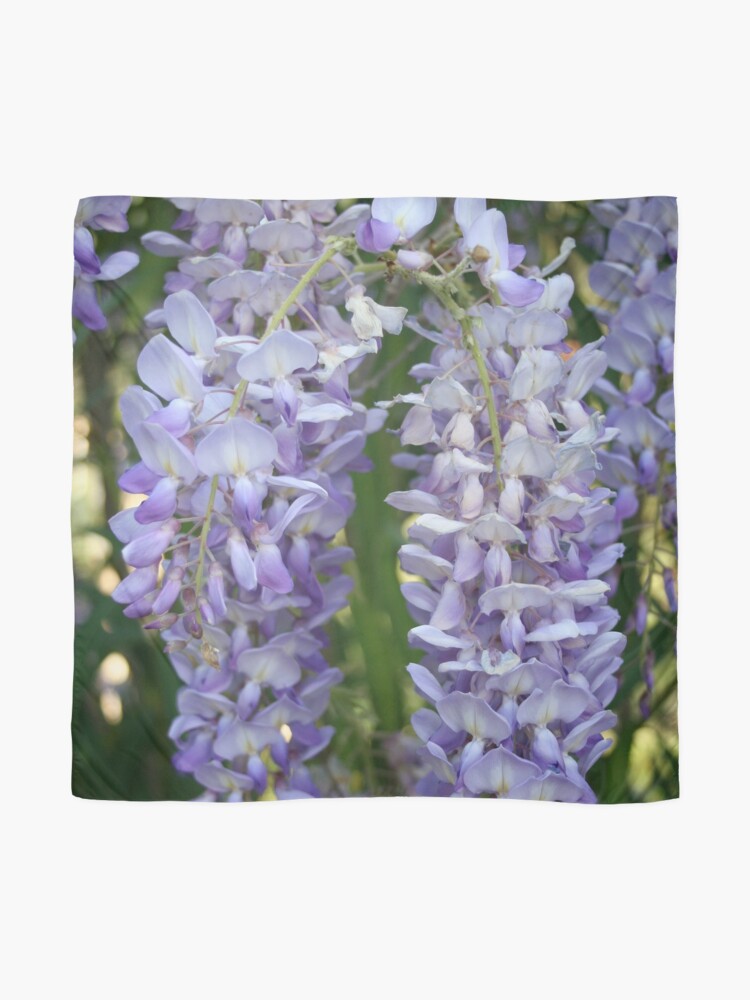 "Drooping Clusters Of Lilac Wisteria Photograph" Scarf for Sale by