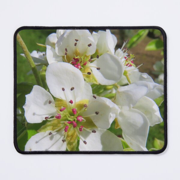 Item preview, Peach blossom designed and sold by AHELENE.