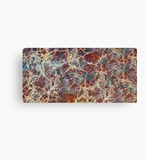 Web Canvas Print
