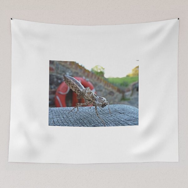 Item preview, Dragonfly Nymph designed and sold by Kim Slater.