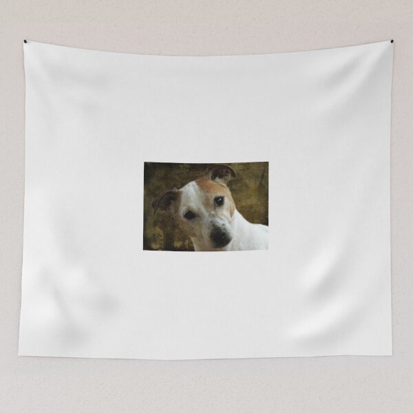 Item preview, Claude designed and sold by Kim Slater.