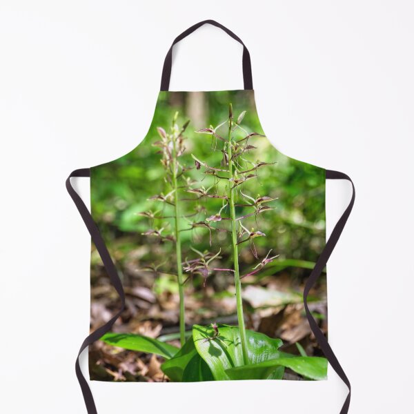 Item preview, Mauve Sleekwort designed and sold by Thymely.