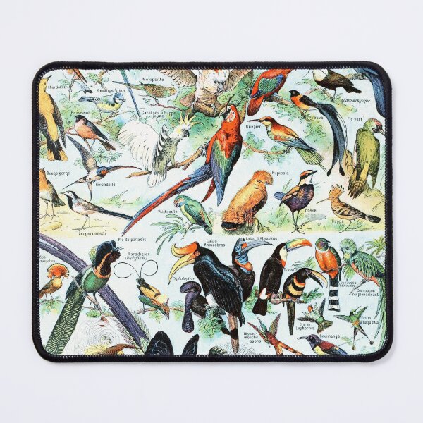 Item preview, Vintage Bird Illustration I designed and sold by Vintage Wall Art.