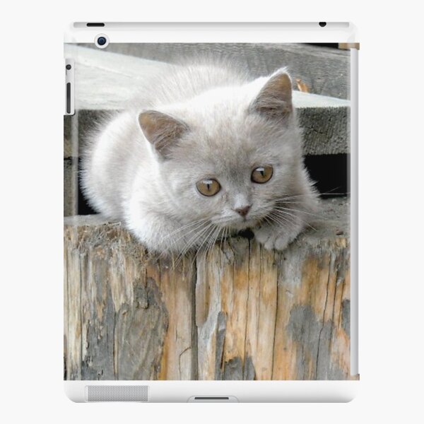 British cat iPad Snap Case