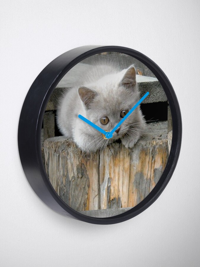 Alternate view of British cat Clock