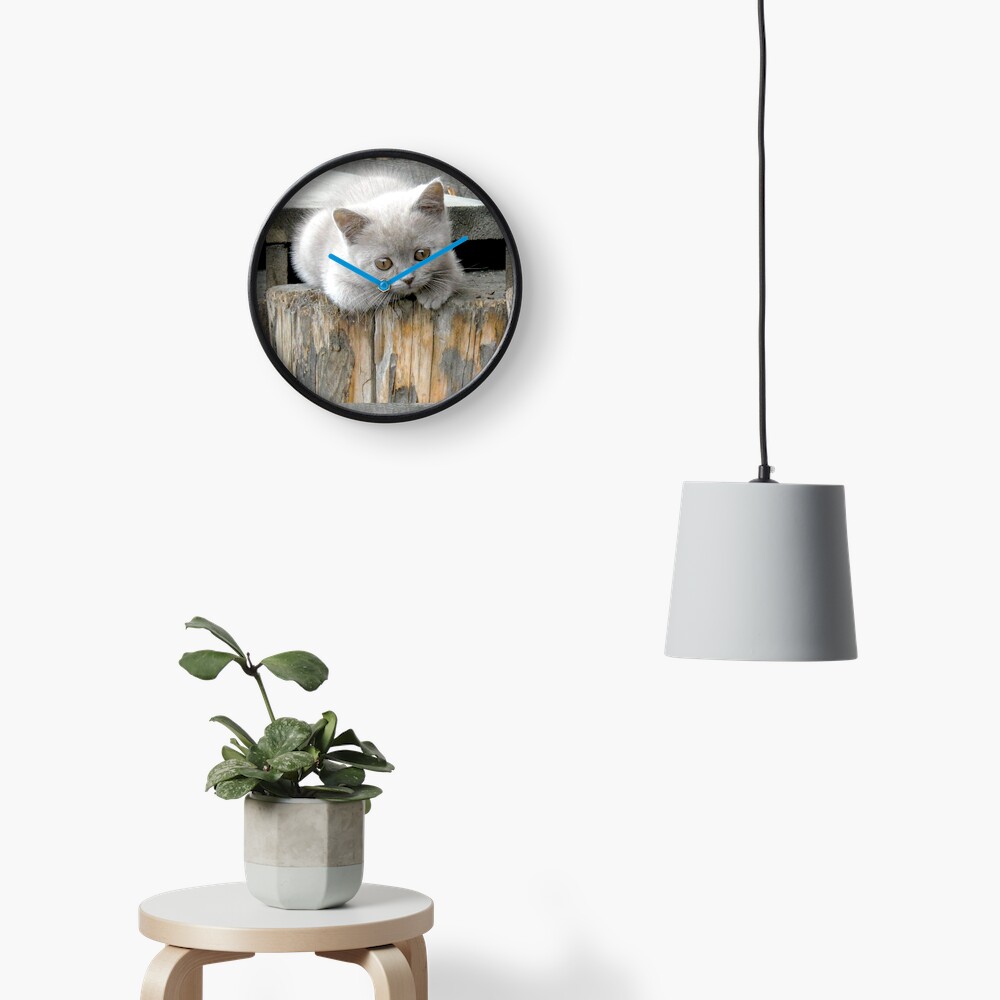British cat Clock