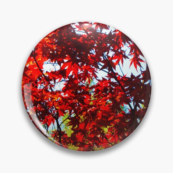 Item preview, Japanese Maple  designed and sold by BritishYank.