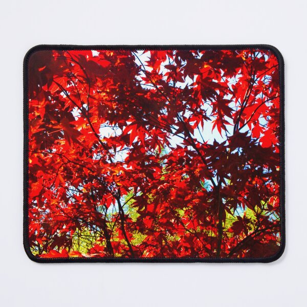 Item preview, Japanese Maple  designed and sold by BritishYank.