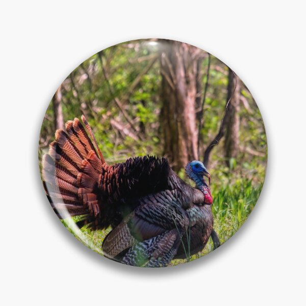 Artikelvorschau, Wild Turkey Tom Balz entworfen und verkauft von Thymely.