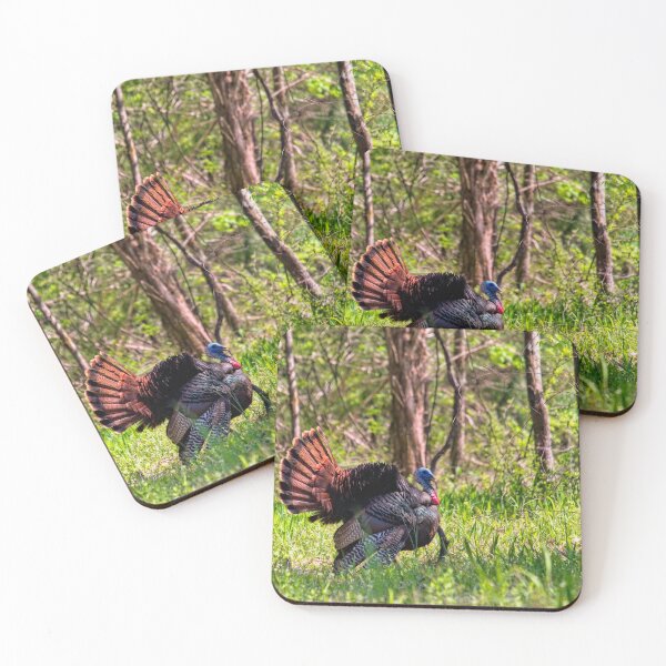 Item preview, Wild Turkey Tom Courtship Display designed and sold by Thymely.