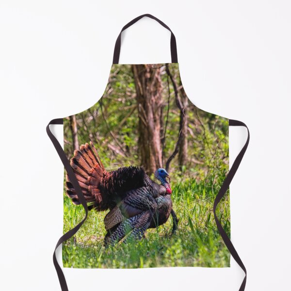 Item preview, Wild Turkey Tom Courtship Display designed and sold by Thymely.