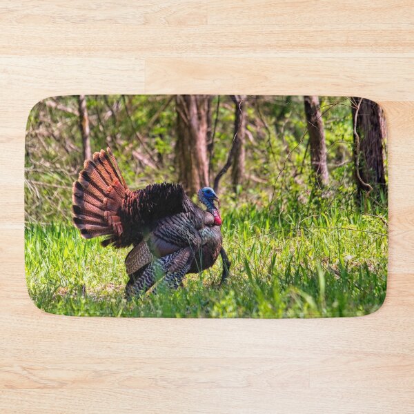 Item preview, Wild Turkey Tom Courtship Display designed and sold by Thymely.