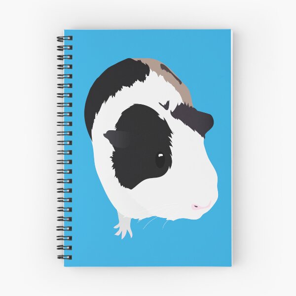 Item preview, American Silk Guinea Pig designed and sold by Eldridge Guinea Pigs.