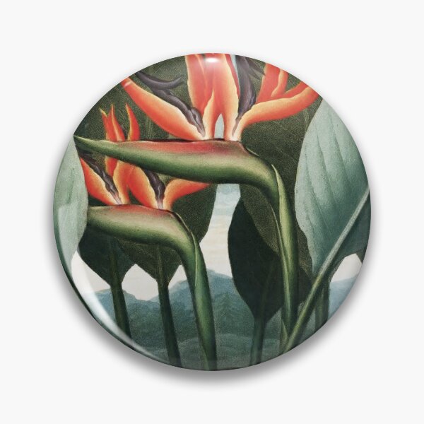 Item preview, The Queen - The Temple of Flora Botanical Print designed and sold by Vintage Wall Art.