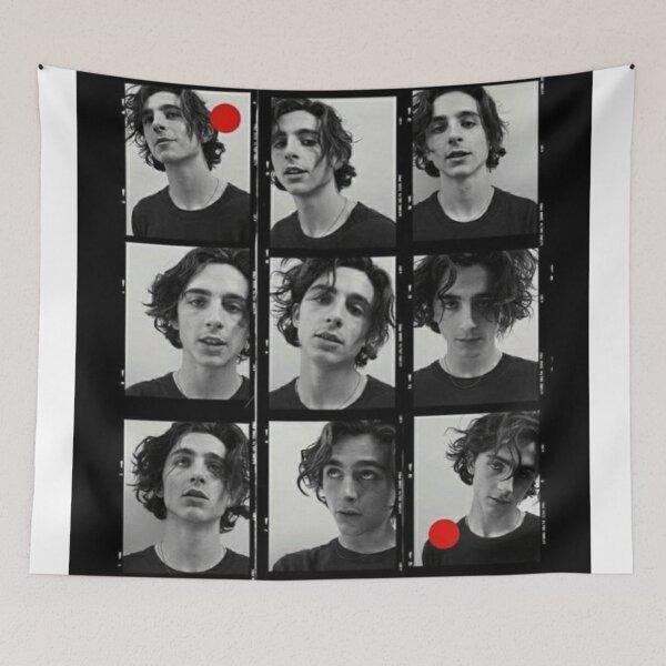 Item preview, Timothée Chalamet     designed and sold by shandsiehily.