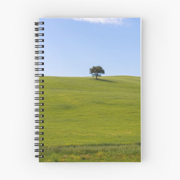Item preview, Tree in Val D Orcia designed and sold by pietrofoto.