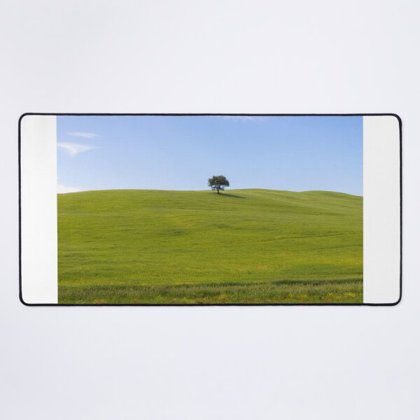 Item preview, Tree in Val D Orcia designed and sold by pietrofoto.