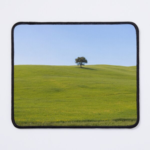 Item preview, Tree in Val D Orcia designed and sold by pietrofoto.