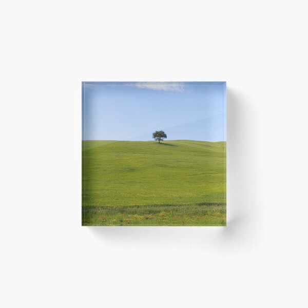 Item preview, Tree in Val D Orcia designed and sold by pietrofoto.
