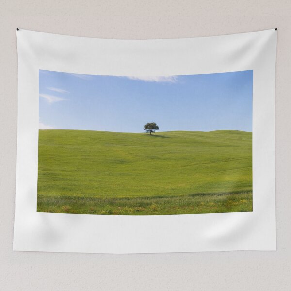 Item preview, Tree in Val D Orcia designed and sold by pietrofoto.