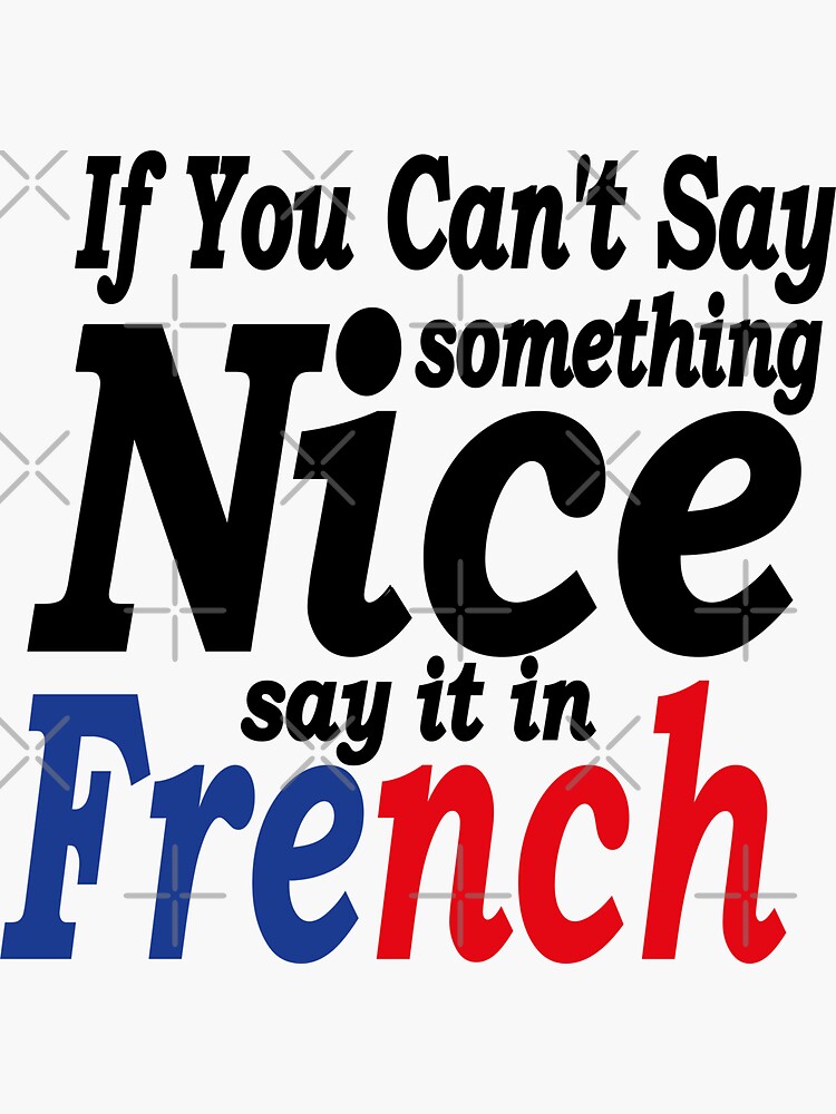 If You Cant Say Something Nice Say It In French Funny Bumper