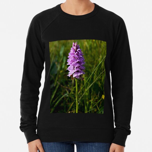 Spotted Orchid, Kilclooney, Donegal Lightweight Sweatshirt