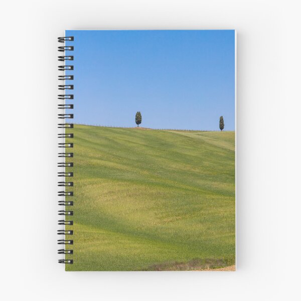 Item preview, Two trees in Val D Orcia designed and sold by pietrofoto.