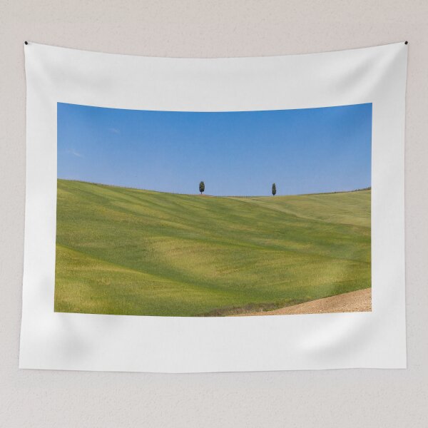 Item preview, Two trees in Val D Orcia designed and sold by pietrofoto.