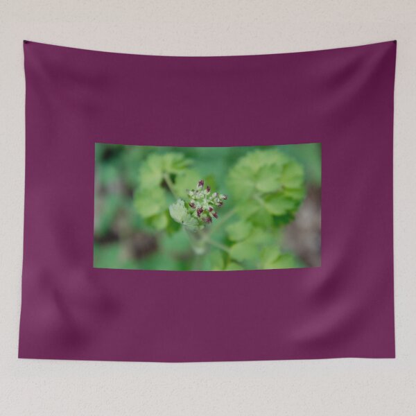 Item preview, Tiny creation  designed and sold by KellieF6.